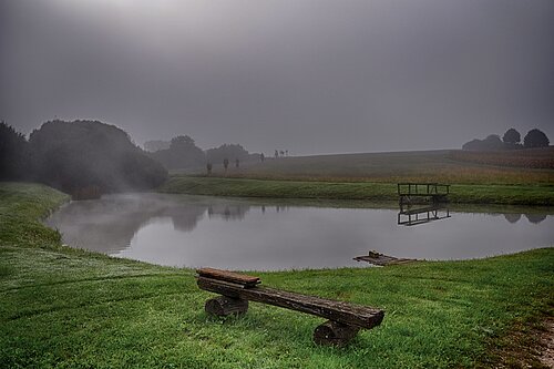 Weiher Nebel Herbst