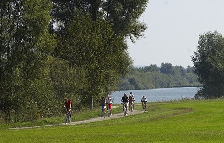 Radfahrer am Rothsee im Sommer