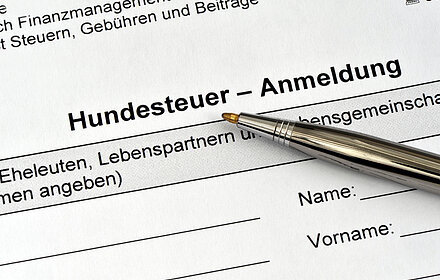 Formular zur Anmeldung der Hundesteuer