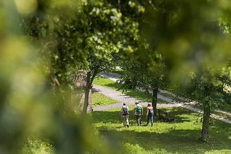 Drei Leute laufen eine Wiese hinab. Auf der Wiese viele grüne Bäume.